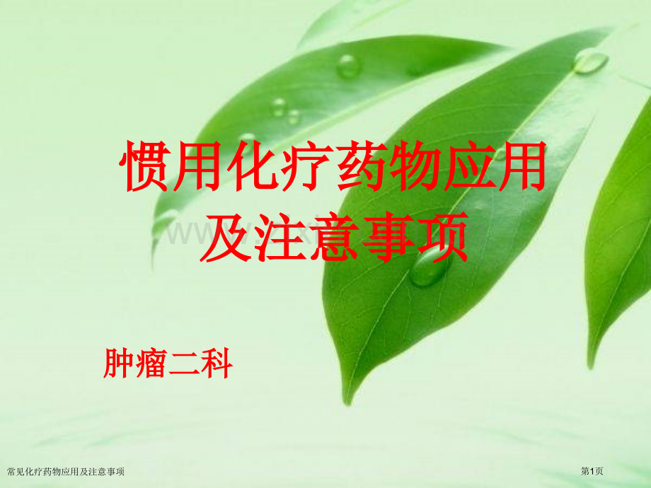 常见化疗药物应用及注意事项.pptx_第1页