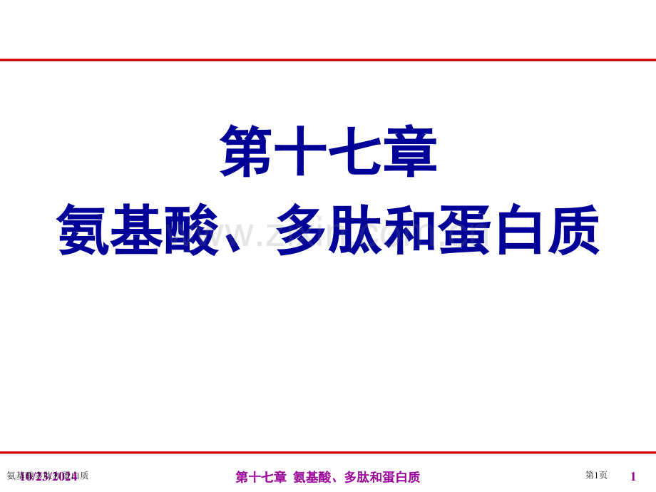 氨基酸多肽和蛋白质专家讲座.pptx_第1页