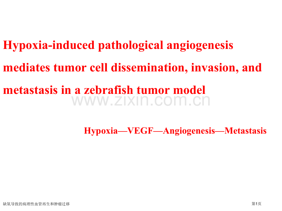 缺氧导致的病理性血管再生和肿瘤迁移专家讲座.pptx_第1页