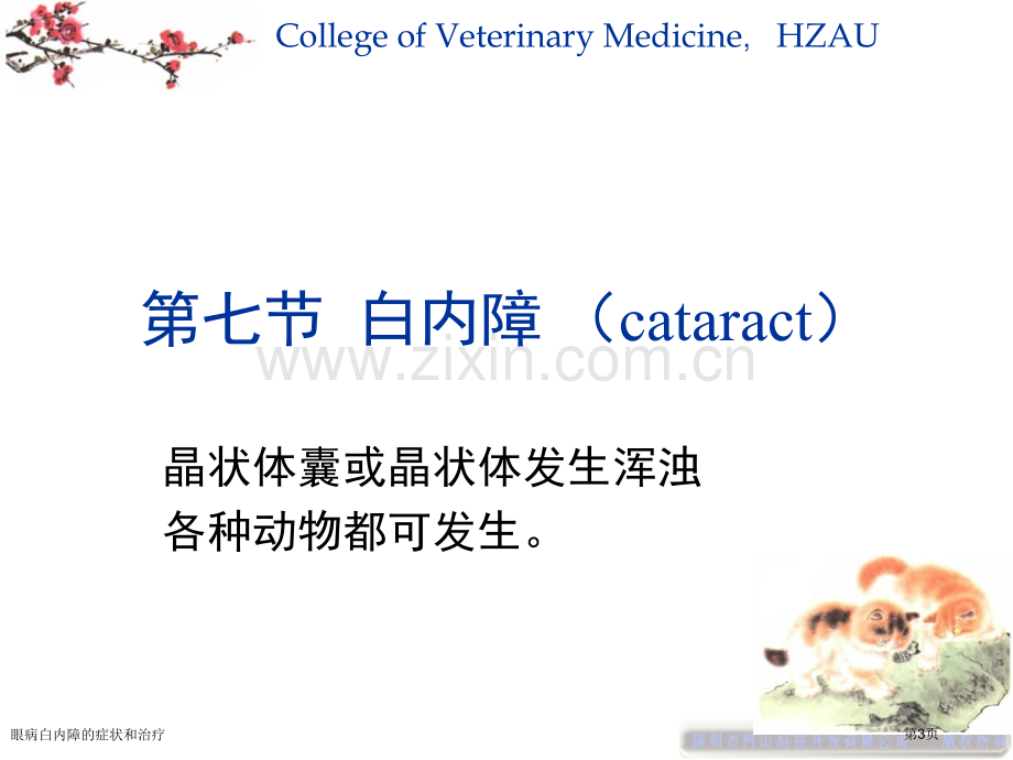 眼病白内障的症状和治疗专家讲座.pptx_第3页