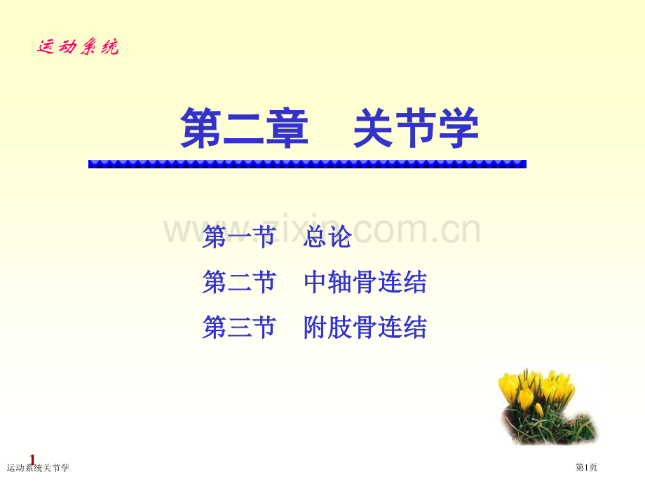 运动系统关节学专家讲座.pptx_第1页