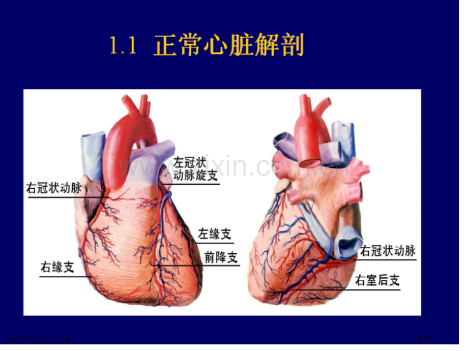 循环系统疾病心力衰竭专家讲座.pptx_第2页