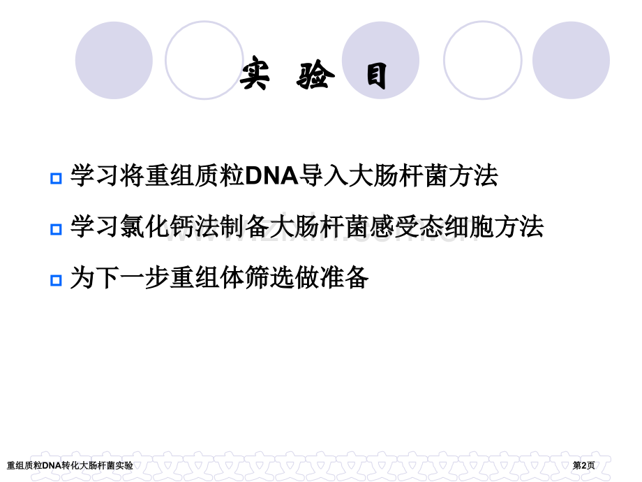 重组质粒DNA转化大肠杆菌实验.pptx_第2页