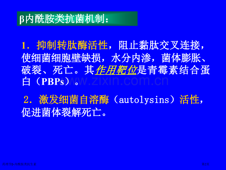 药理学β-内酰胺类抗生素专家讲座.pptx_第2页