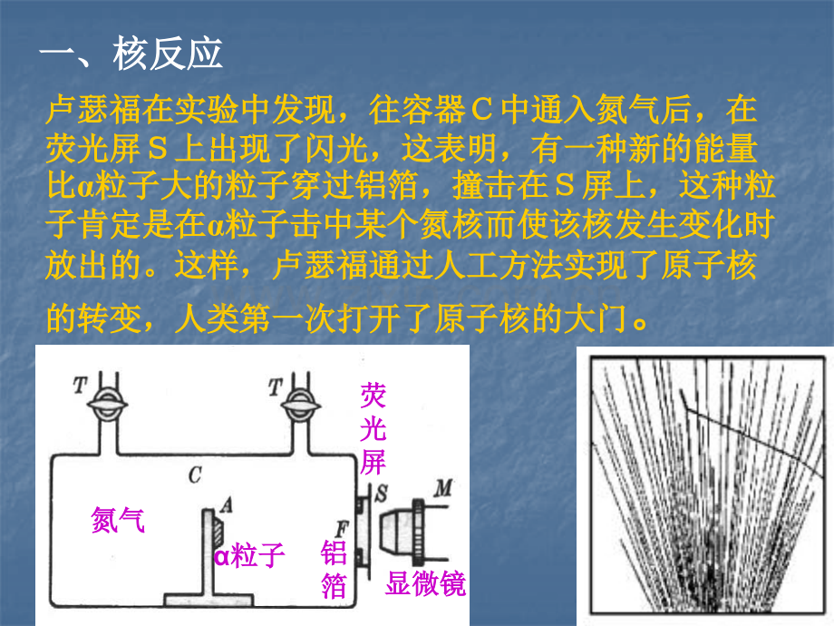 194放射性的应用与防护人教版选修.pptx_第2页