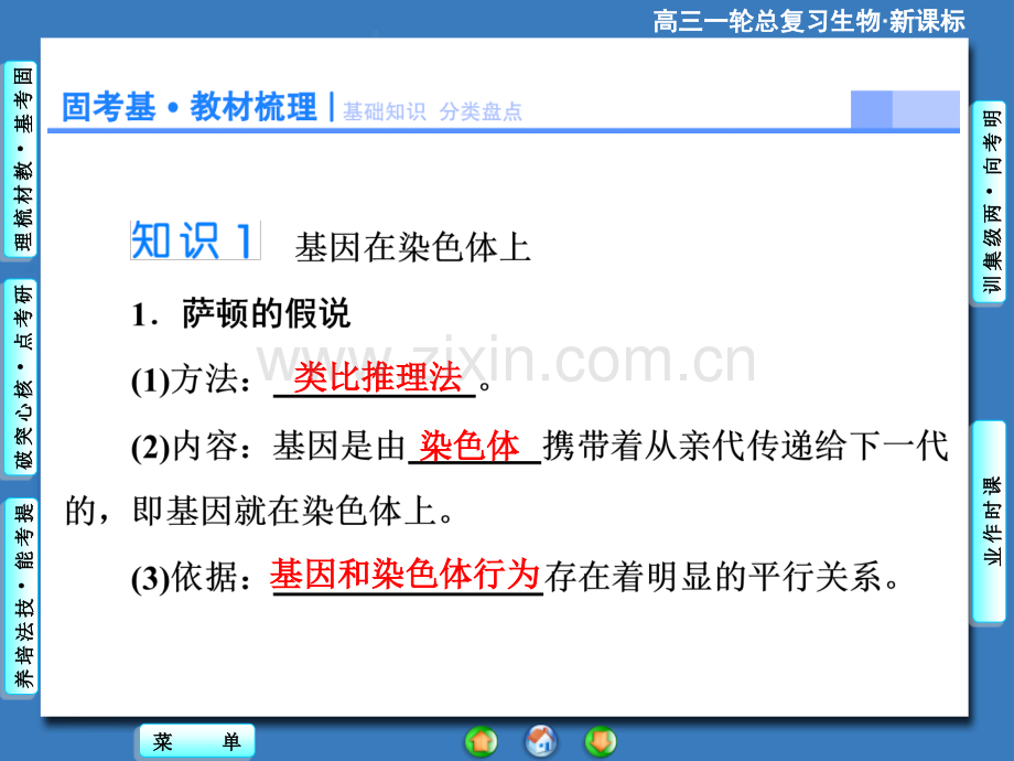 2015课堂新坐标高考生物大一轮复习配套必修2基因在染色体上和伴性遗传.pptx_第2页