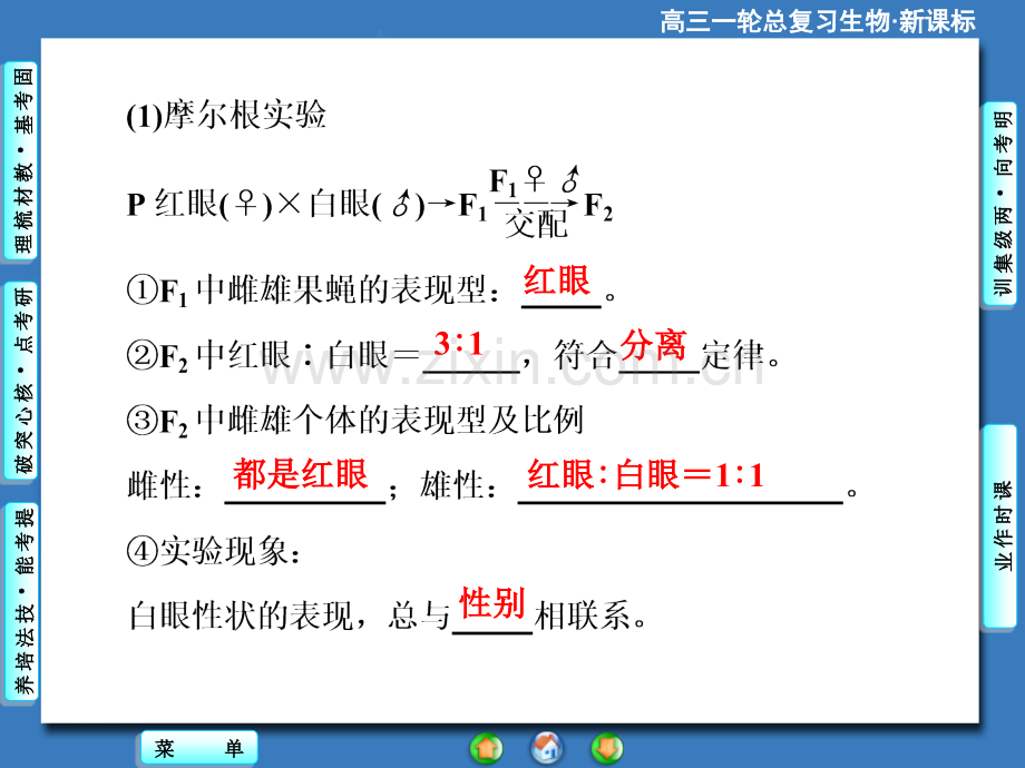 2015课堂新坐标高考生物大一轮复习配套必修2基因在染色体上和伴性遗传.pptx_第3页