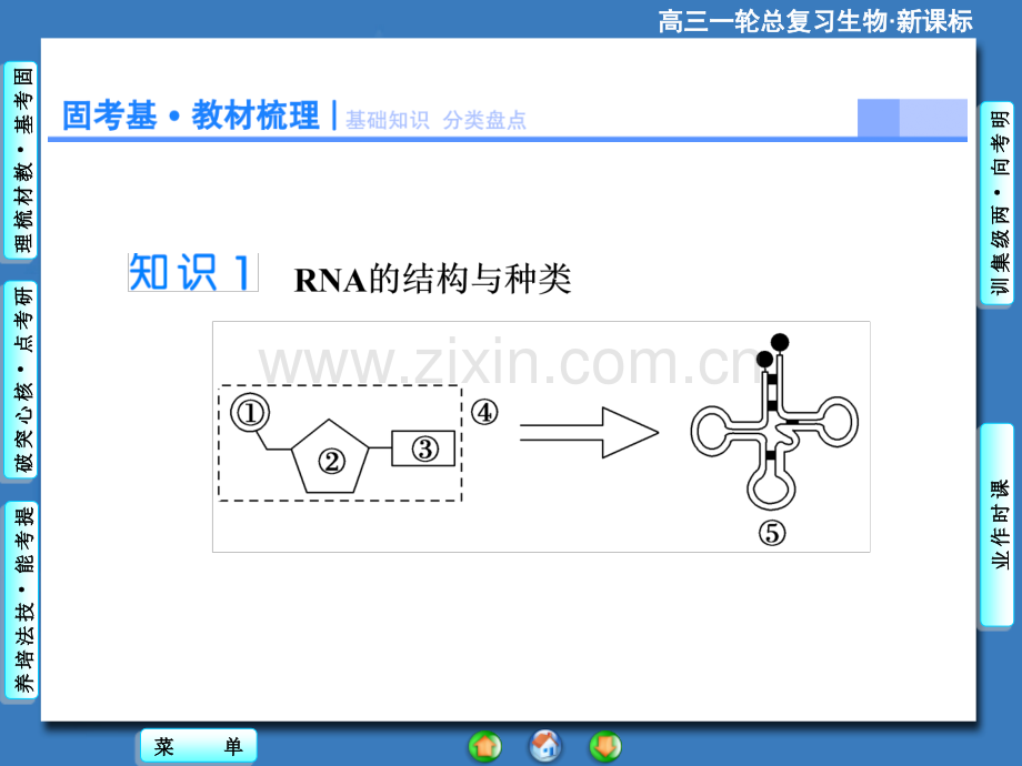 2015课堂新坐标高考生物大一轮复习配套必修2基因表达.pptx_第2页