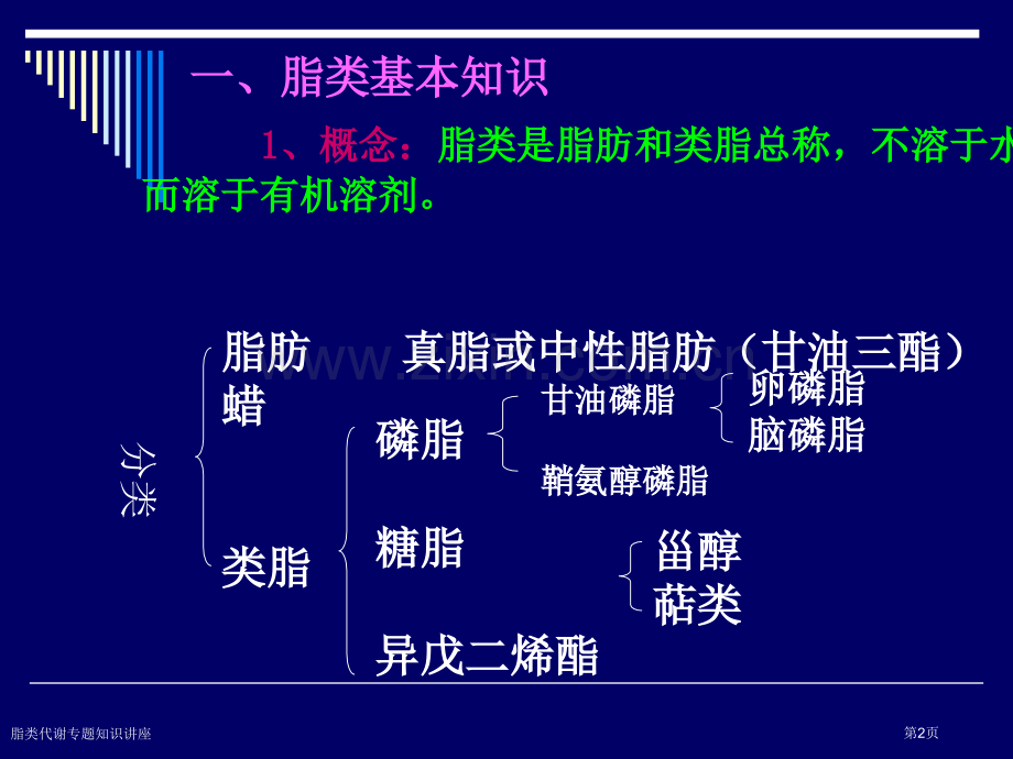 脂类代谢专题知识讲座专家讲座.pptx_第2页