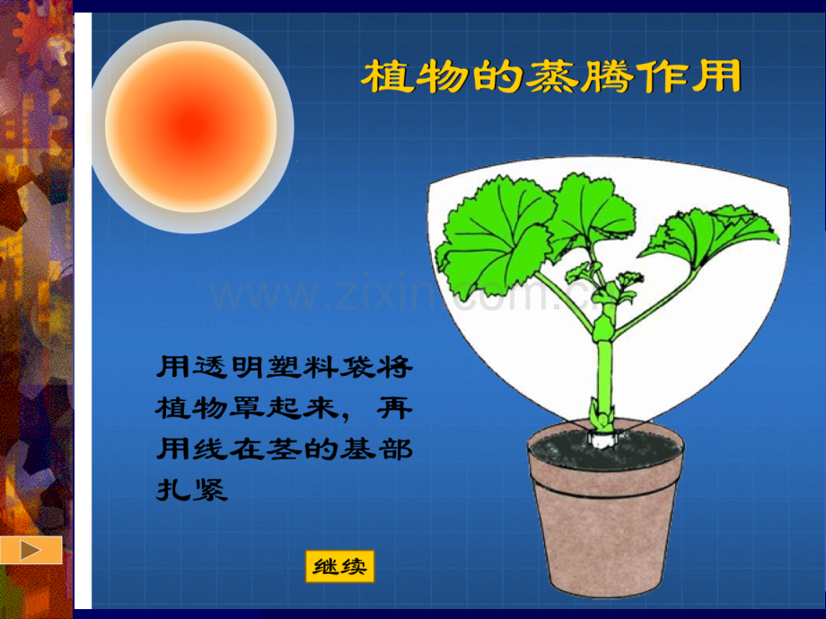 绿色植物参和生物圈的水循环公开课一等奖优质课大赛微课获奖课件.pptx_第2页