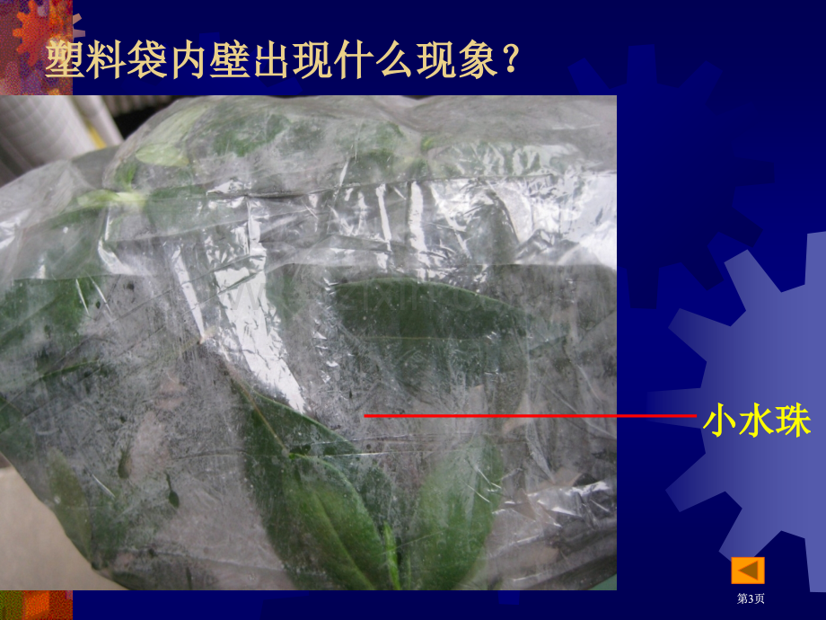 绿色植物参和生物圈的水循环公开课一等奖优质课大赛微课获奖课件.pptx_第3页