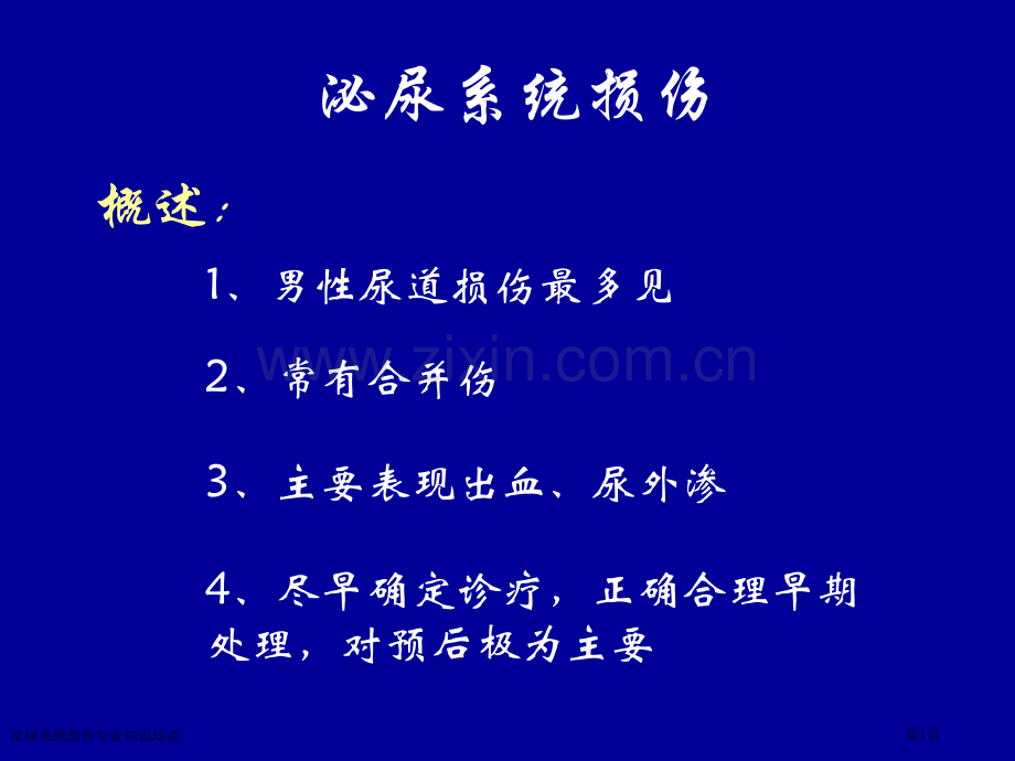 泌尿系统损伤专业知识培训专家讲座.pptx_第1页