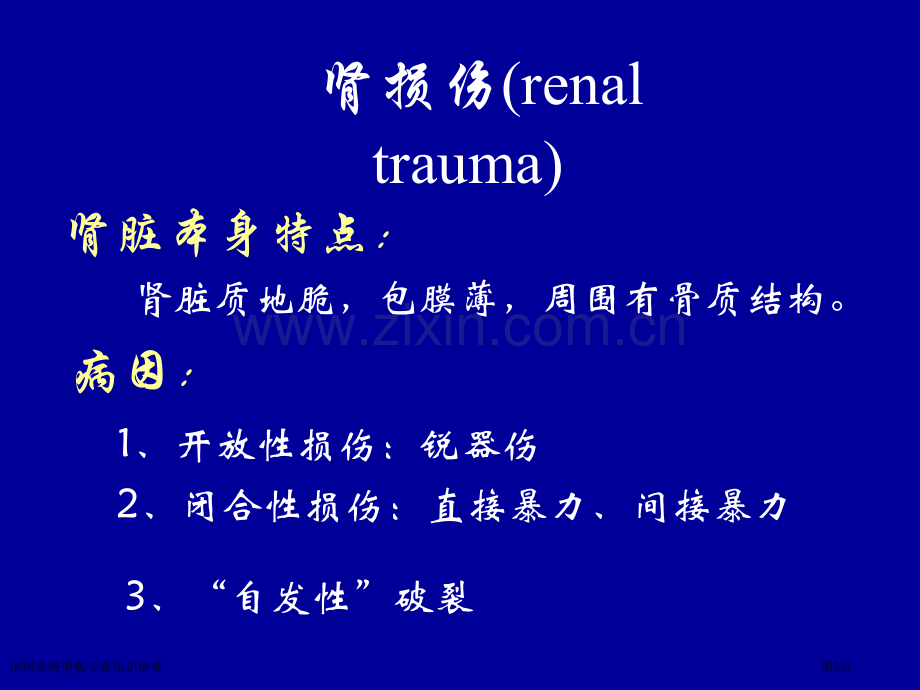 泌尿系统损伤专业知识培训专家讲座.pptx_第2页