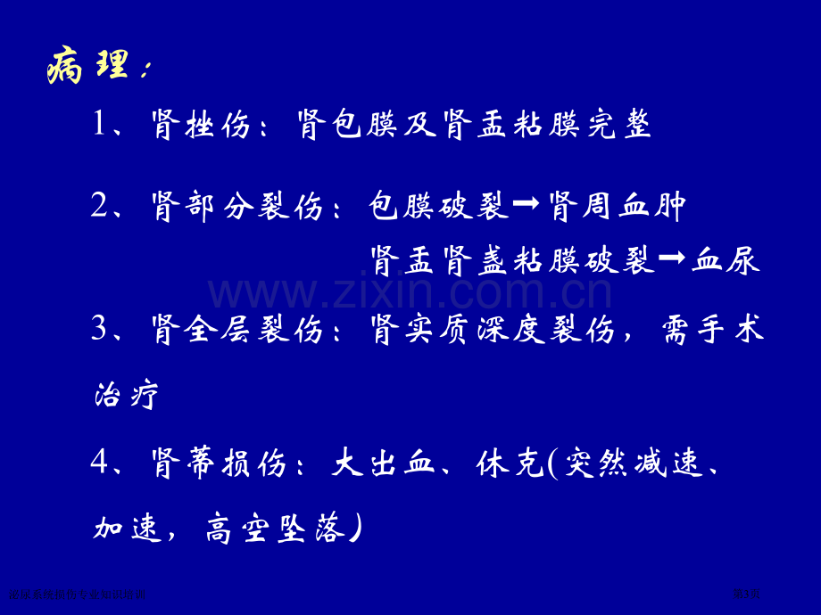 泌尿系统损伤专业知识培训专家讲座.pptx_第3页