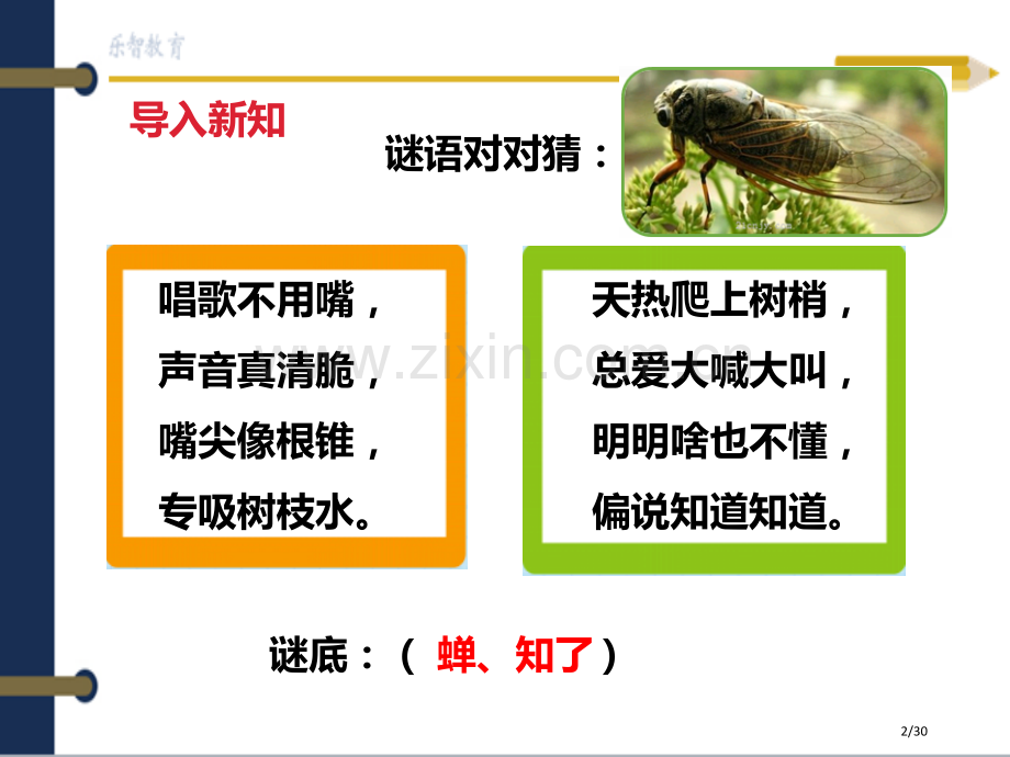 我是一只小虫子随堂2市名师优质课赛课一等奖市公开课获奖课件.pptx_第2页