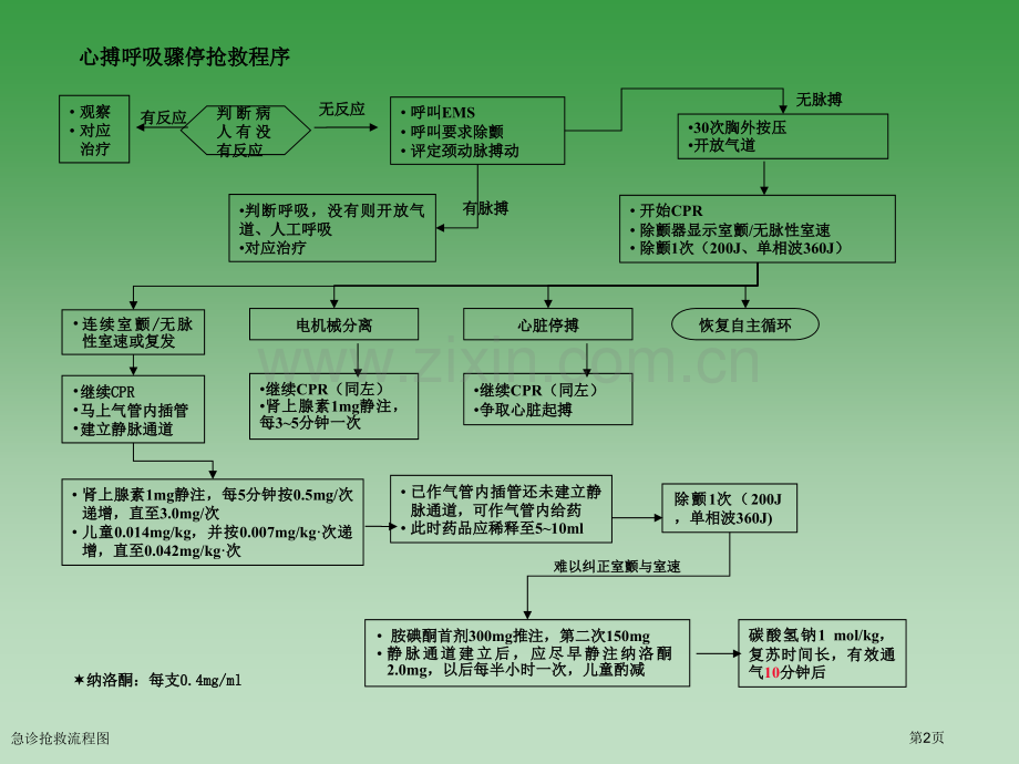 急诊抢救流程图.pptx_第2页