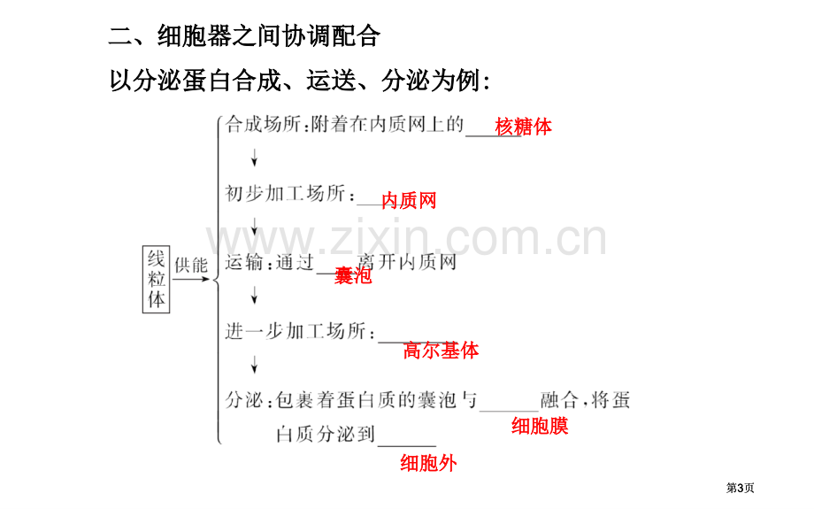 高中生物细胞器系统内的分工合作新人教版必修公开课一等奖优质课大赛微课获奖课件.pptx_第3页