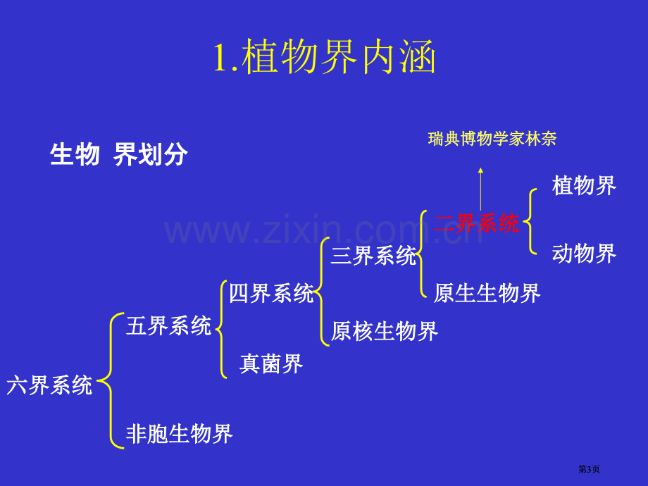 植物分类总复习公开课一等奖优质课大赛微课获奖课件.pptx_第3页