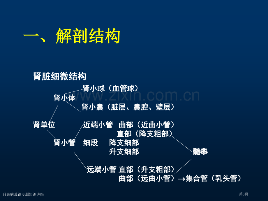 肾脏病总论专题知识讲座专家讲座.pptx_第3页