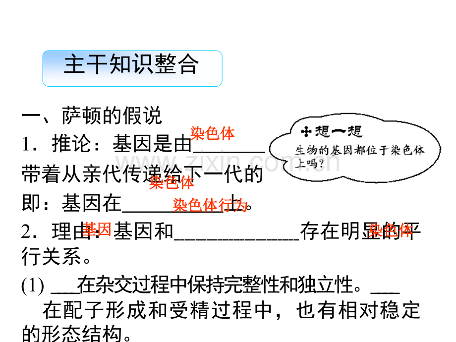 2013导学教程人教版生物一轮基因在染色体上和伴性遗传.pptx_第2页