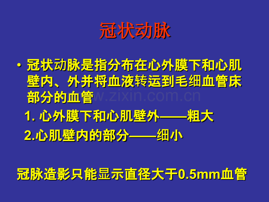 -冠状动脉解剖与介入-广东省人民医院心血管内科.pptx_第2页