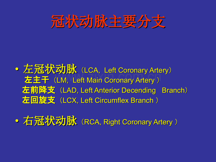 -冠状动脉解剖与介入-广东省人民医院心血管内科.pptx_第3页