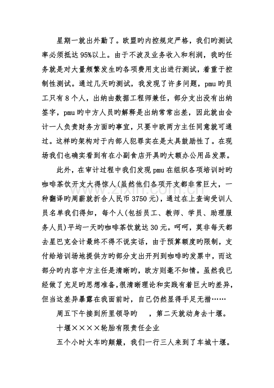 项目审计实习报告范文.doc_第2页