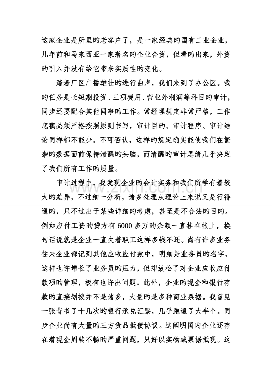 项目审计实习报告范文.doc_第3页