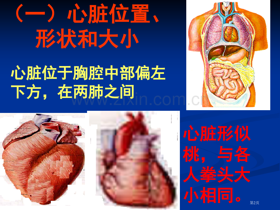 输送血液的泵心脏专家讲座.pptx_第2页