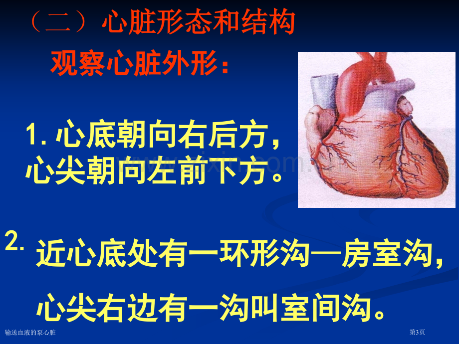 输送血液的泵心脏专家讲座.pptx_第3页