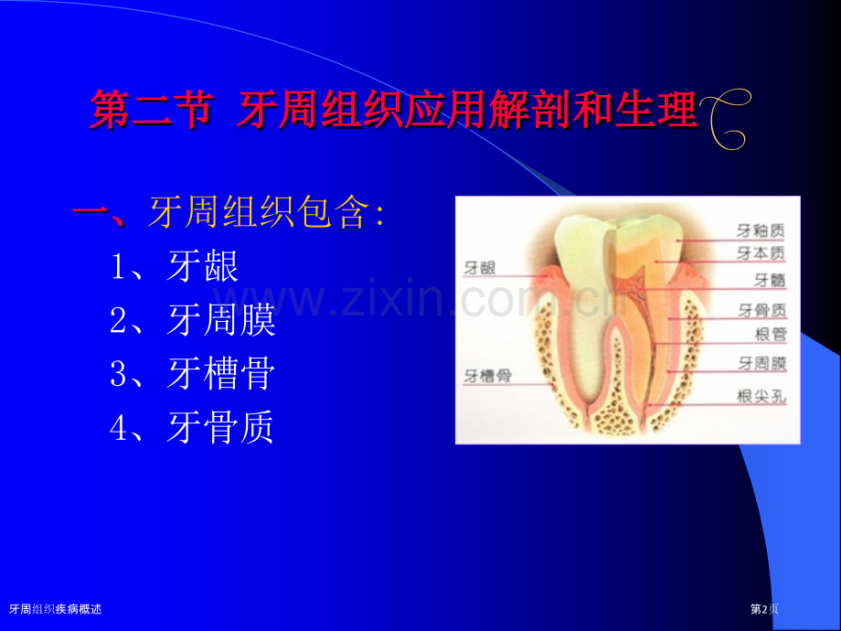 牙周组织疾病概述.pptx_第2页