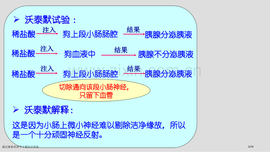 通过激素的调节专题知识讲座.pptx_第3页