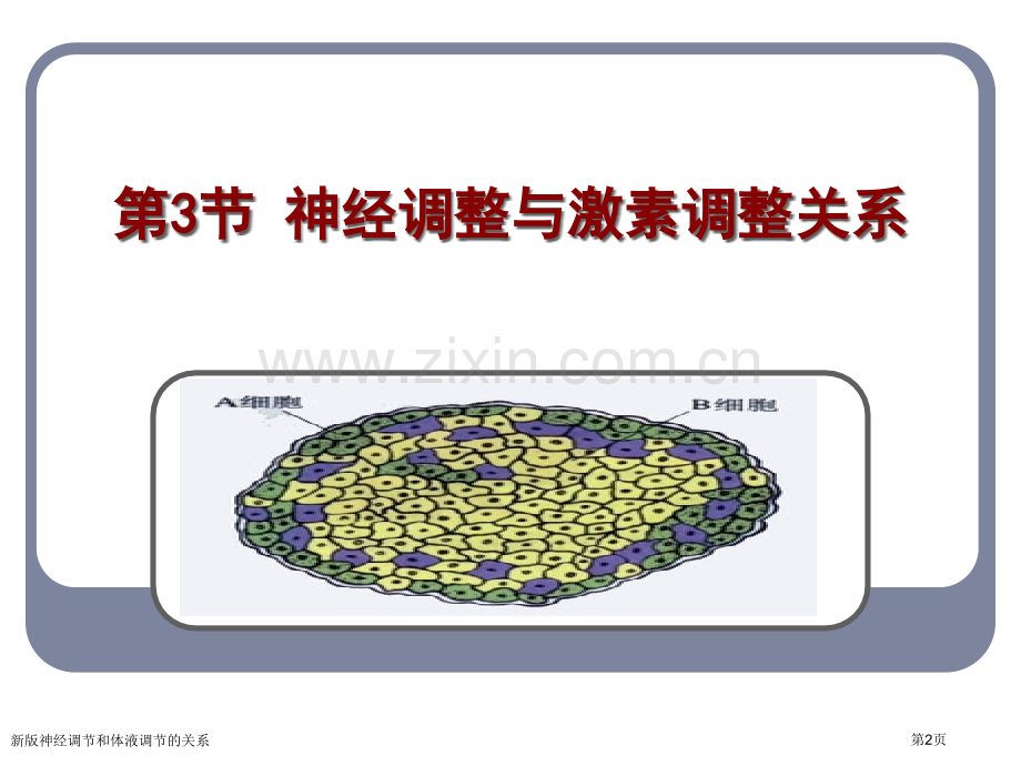 新版神经调节和体液调节的关系专家讲座.pptx_第2页