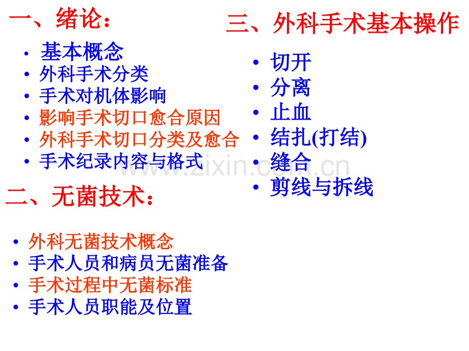 应用解剖和手术学专家讲座.pptx_第2页