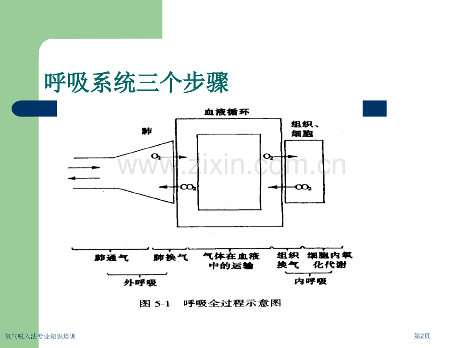 氧气吸入法专业知识培训专家讲座.pptx_第2页