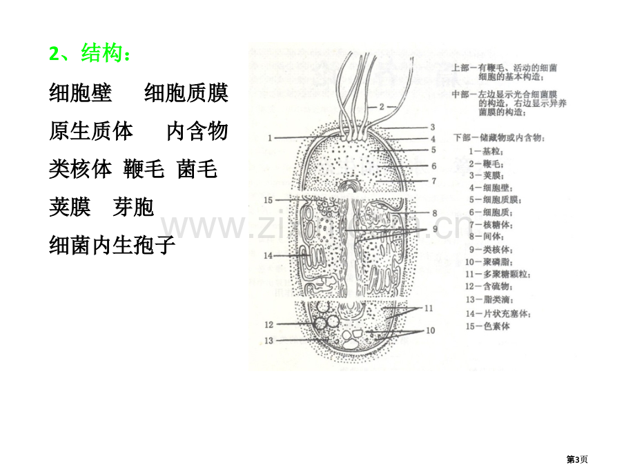 水生生物学主题知识讲座公开课一等奖优质课大赛微课获奖课件.pptx_第3页