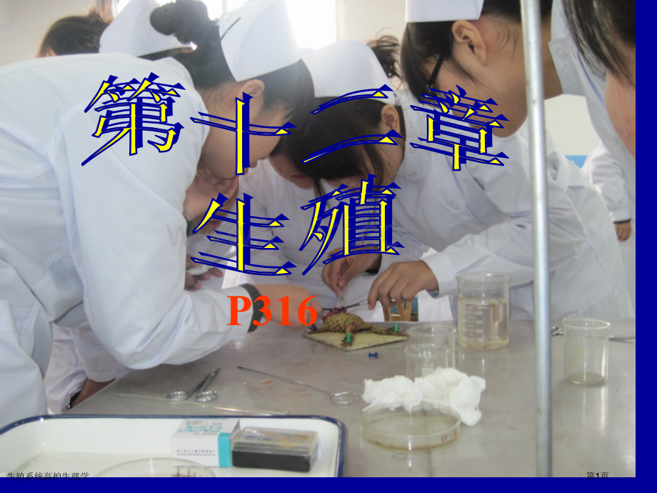 生殖系统高护生理学专家讲座.pptx_第1页