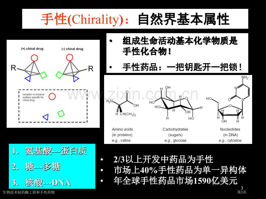 生物技术制药酶工程和手性药物专家讲座.pptx_第3页