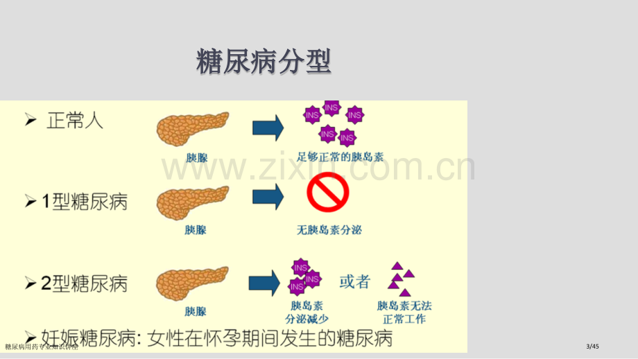 糖尿病用药专业知识讲座.pptx_第3页