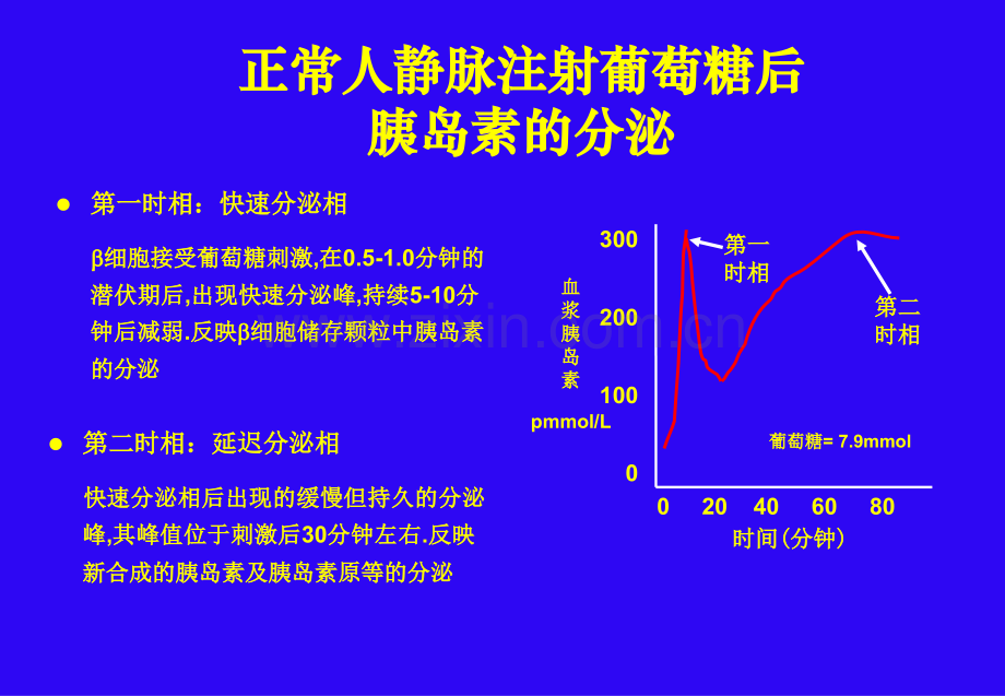 15胰岛素类似物的设计.pptx_第3页