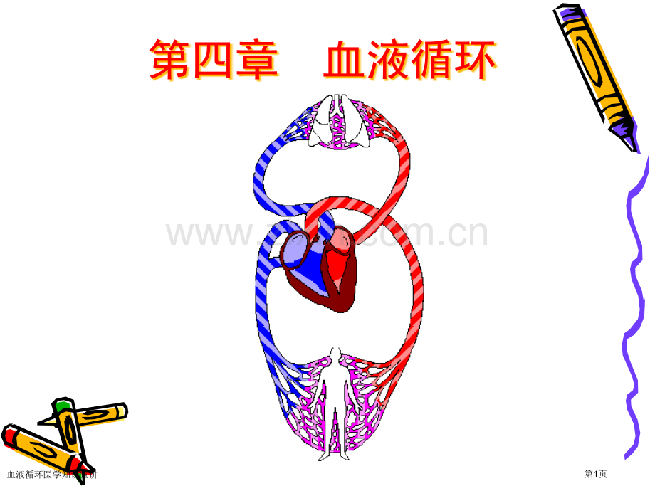 血液循环医学知识宣讲专家讲座.pptx_第1页