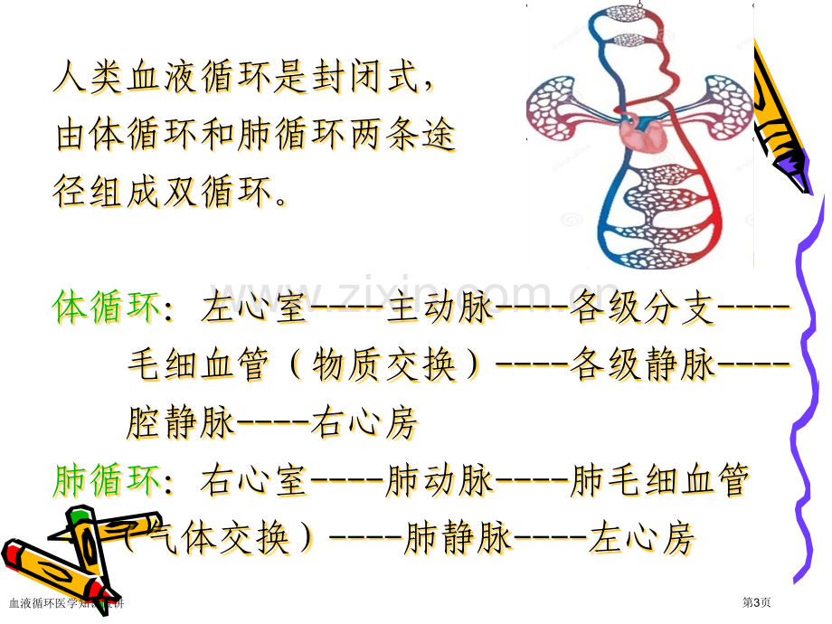 血液循环医学知识宣讲专家讲座.pptx_第3页