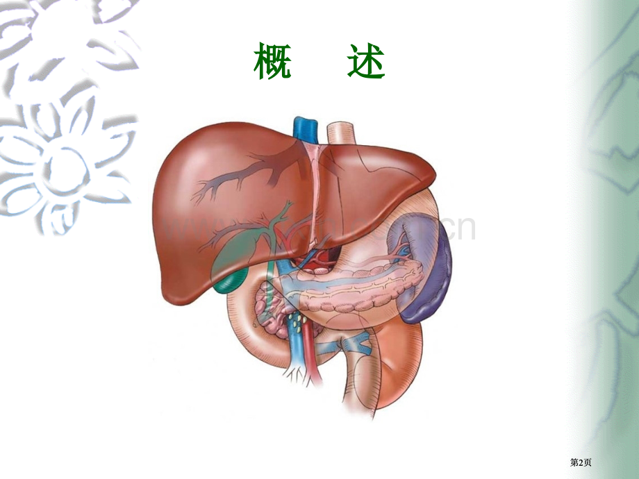 第十五章肝的生物化学公开课一等奖优质课大赛微课获奖课件.pptx_第2页