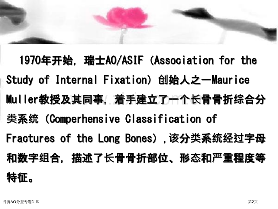 骨折AO分型专题知识.pptx_第2页