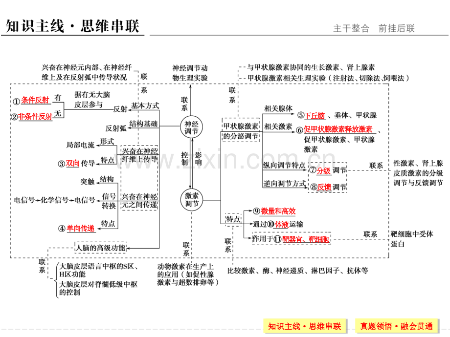 2016江苏专用高考生物二轮专题复习——专题一.pptx_第2页