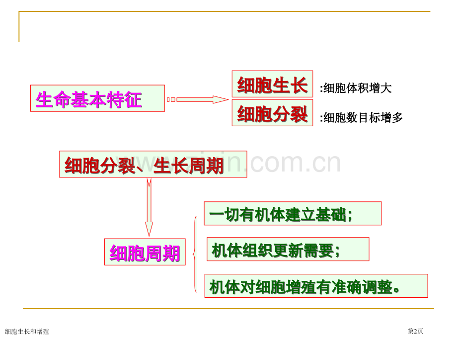 细胞生长和增殖专家讲座.pptx_第2页