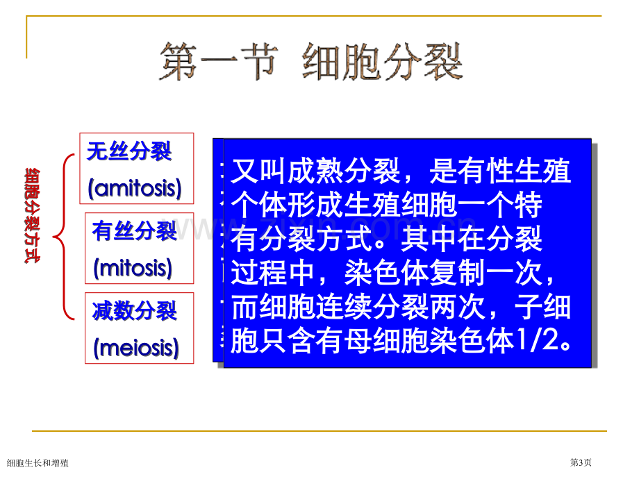 细胞生长和增殖专家讲座.pptx_第3页