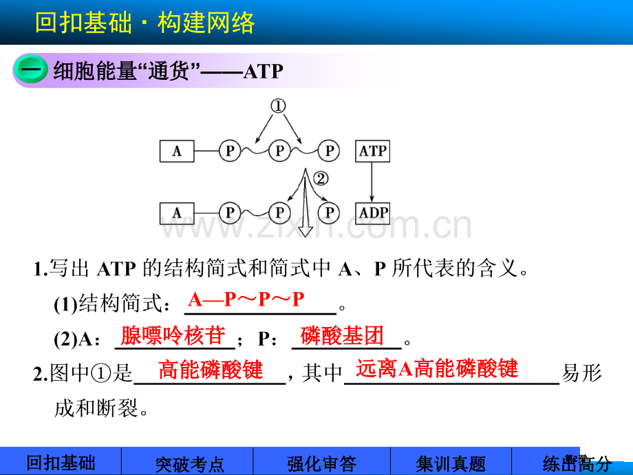 高考苏教版生物大一轮第7讲ATP和酶公开课一等奖优质课大赛微课获奖课件.pptx_第2页