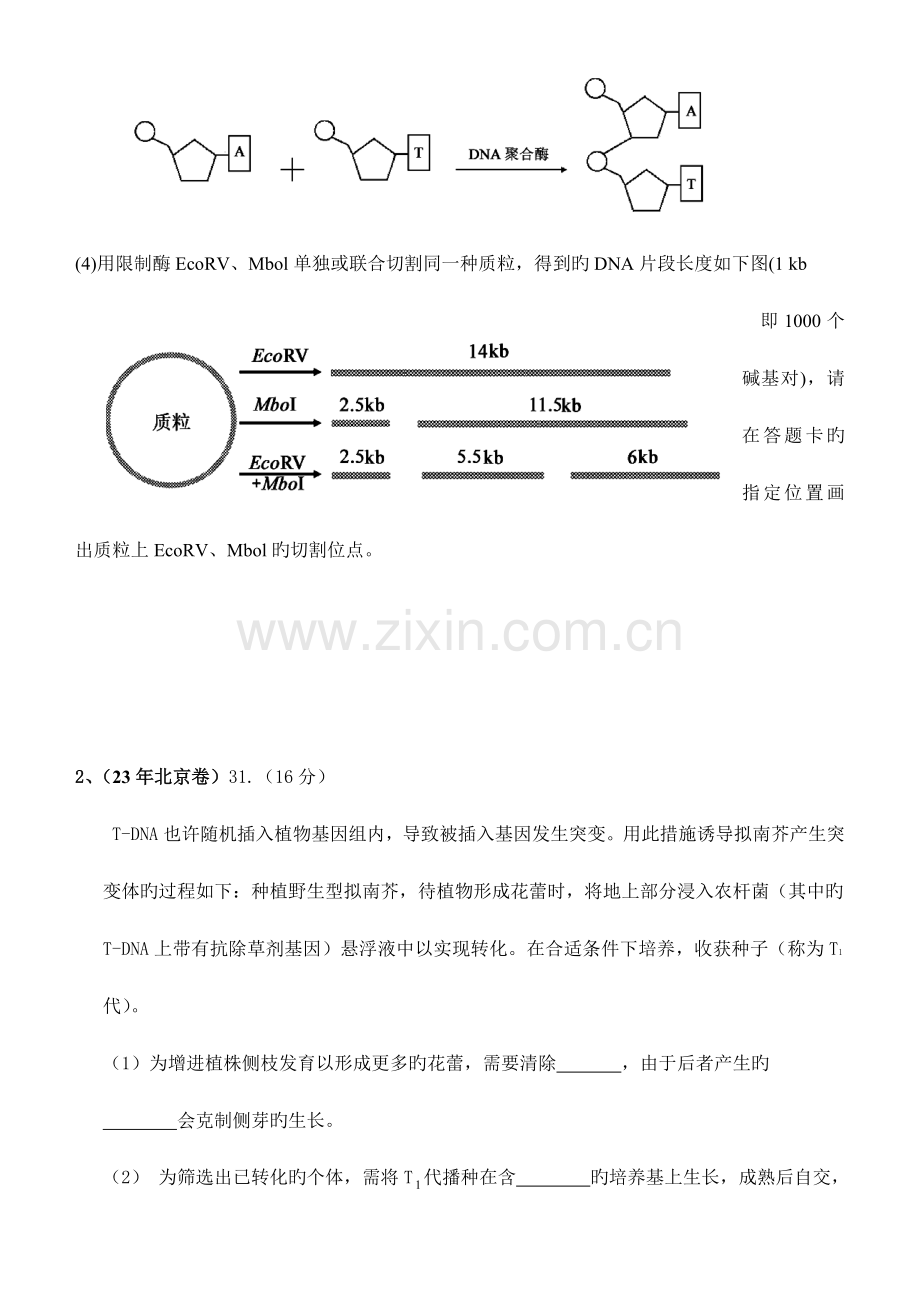 选修三高考题汇编基因工程.doc_第2页