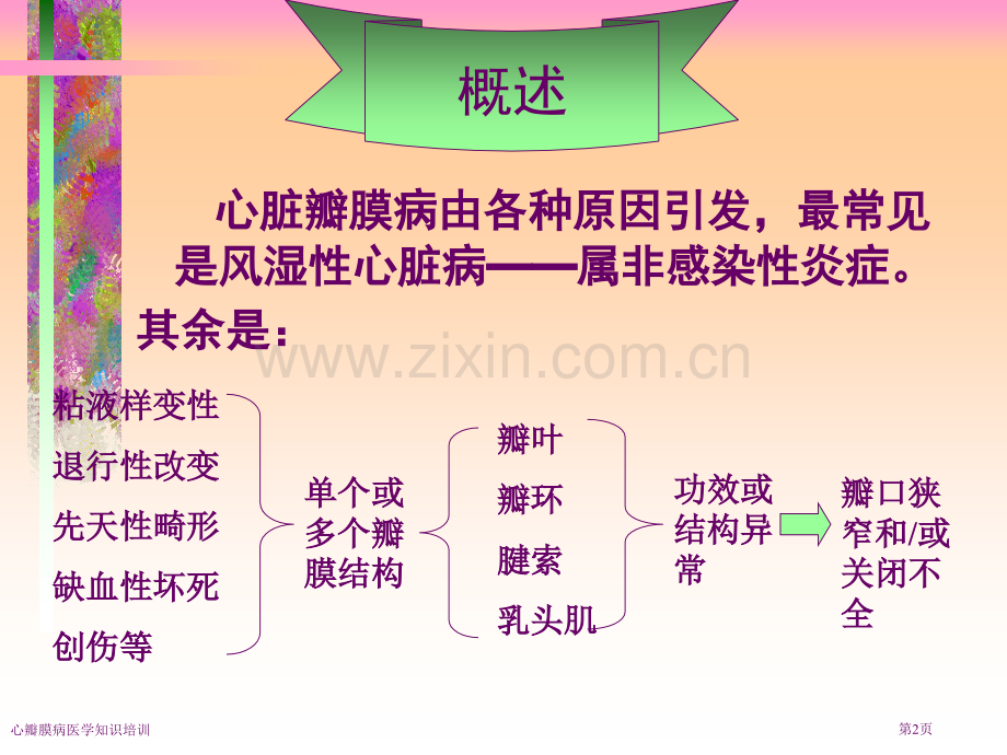 心瓣膜病医学知识培训专家讲座.pptx_第2页